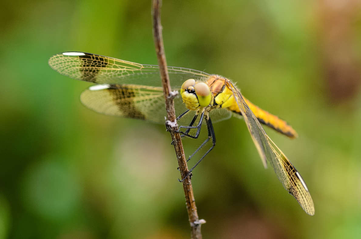 �� ����� ����� ��������� ������� �� PhotoGeek.ru #����� #���������