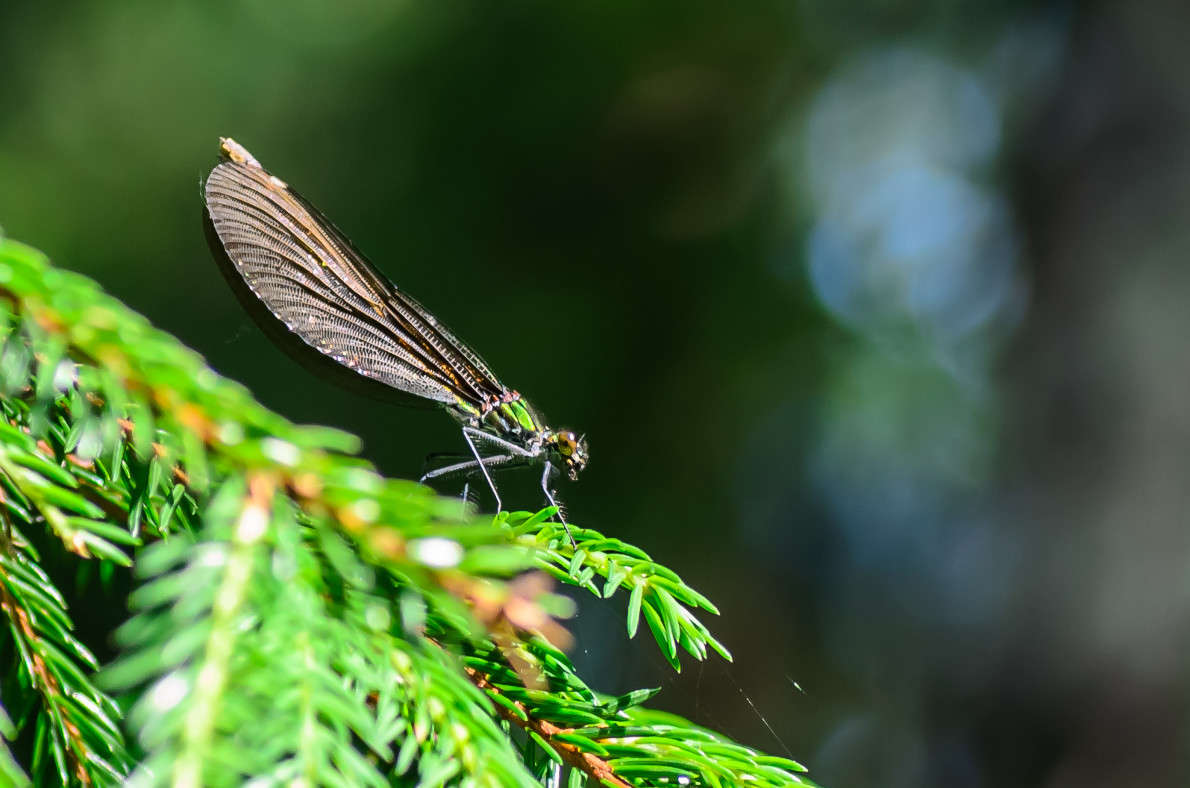 �������� �� ���� ����� ��������� ������� �� PhotoGeek.ru #����� #������ ��� ������� #���������