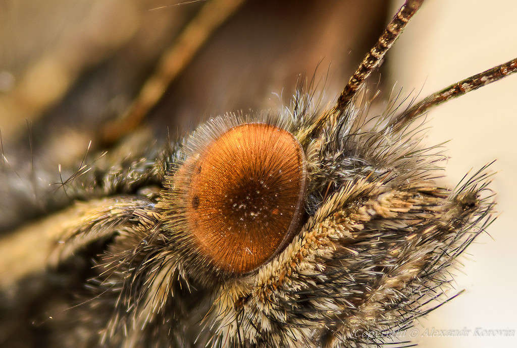 ������� ���� ����� ��������� ������� �� PhotoGeek.ru #����� #���������