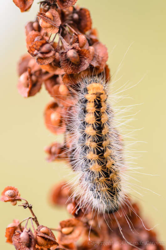 ������ ����� ��������� ������� �� PhotoGeek.ru #����� #���������