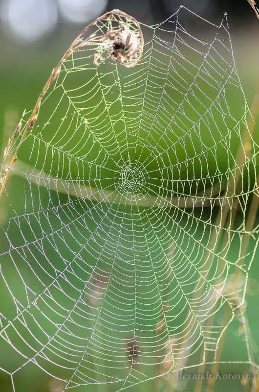 ���� ����� ��������� ������� �� PhotoGeek.ru #����� #���������