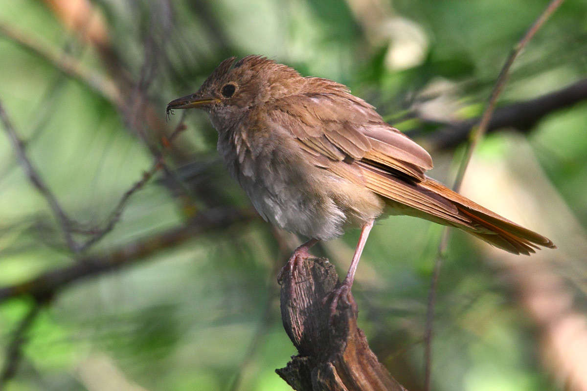 ������ ����� �������  �� PhotoGeek.ru #�������� ��� #����� ��� ��� ���������