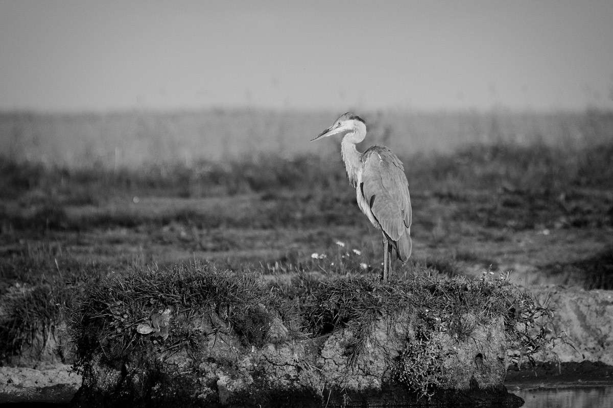 ����� ����� ����� �������  �� PhotoGeek.ru #�������� ���