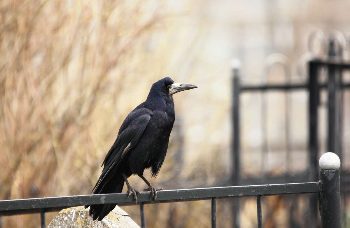 ������� ������� �������. ����� �������  �� PhotoGeek.ru #�������� ��� #�������� ����������