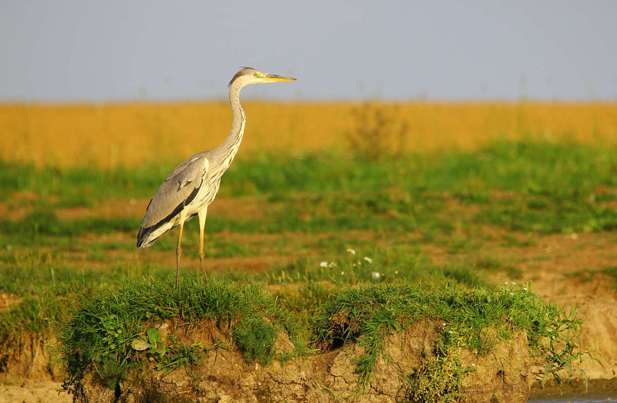 ����� ����� 2 ����� �������  �� PhotoGeek.ru #�������� ��� #����� ��� ��� ���������