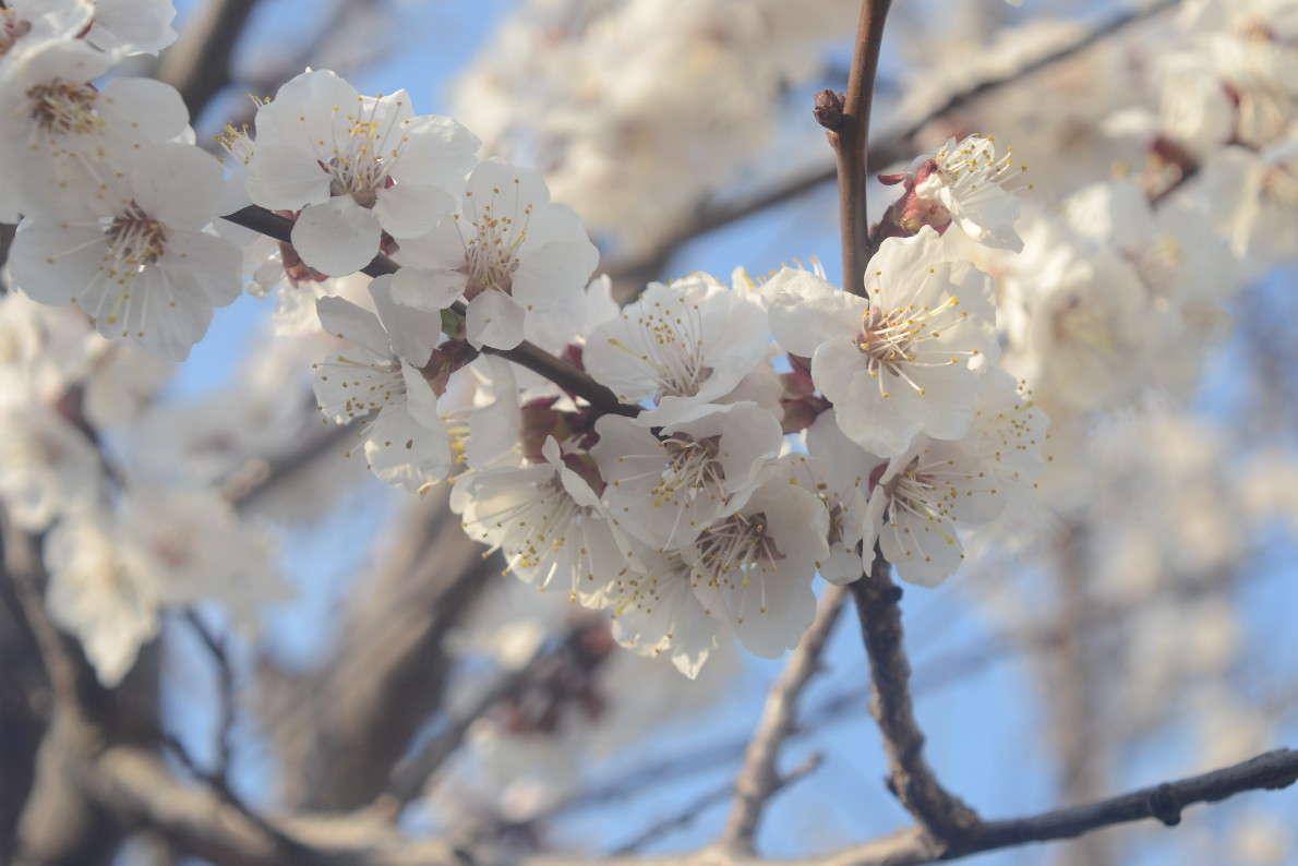 �����򳳳� ����� ��� ������������ �� PhotoGeek.ru #����� #����� ��������������