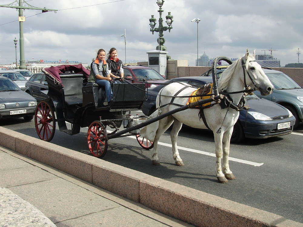 � ��������� ����� ��������� ������ �� PhotoGeek.ru #����� #�������� ����������