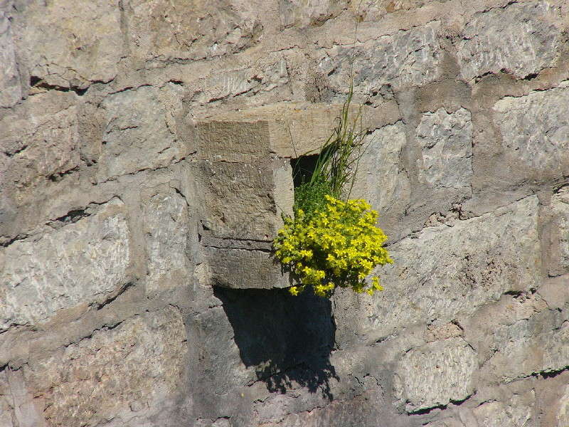 ... � �� ������ ������ ����� ����� ��������� ������ �� PhotoGeek.ru #����� #������ ��� �������