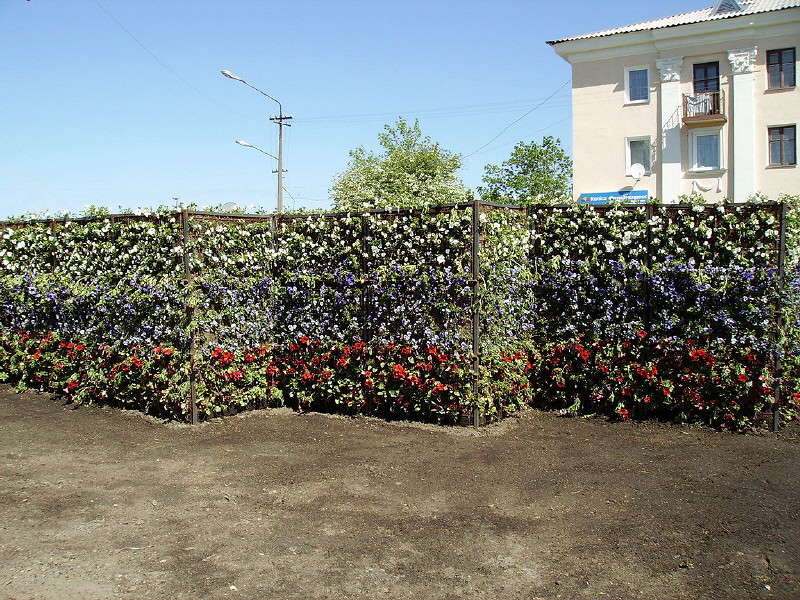 ����� ����������� ����� ����� ��������� ������ �� PhotoGeek.ru #����� #������ ��� �������