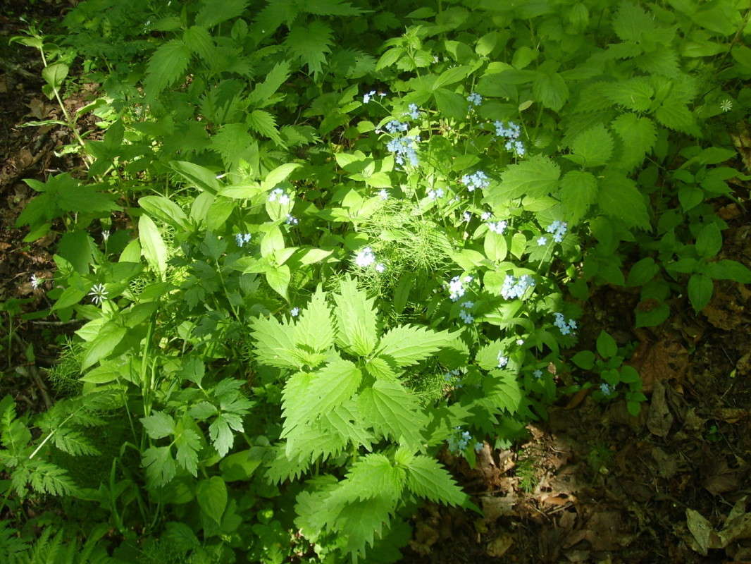 ������ ����� ����� ��������� ������ �� PhotoGeek.ru #������ ��� �������