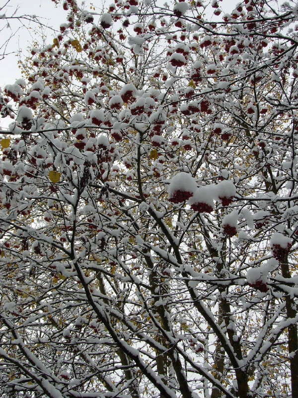 ������ ������ ����� ��������� ������ �� PhotoGeek.ru #����� #������ ��� �������