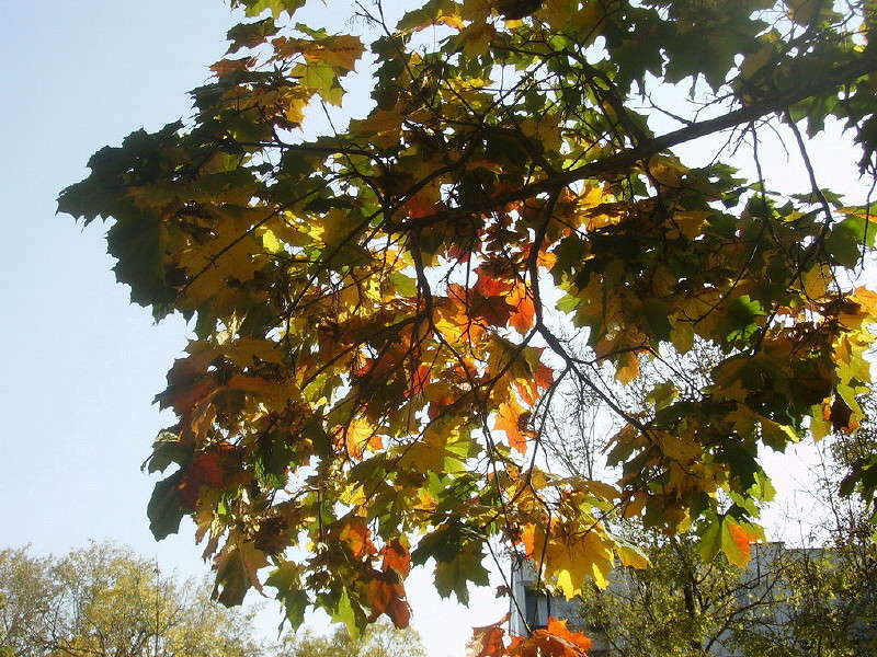 ������ ����� ����� ��������� ������ �� PhotoGeek.ru #����� #������ ��� �������