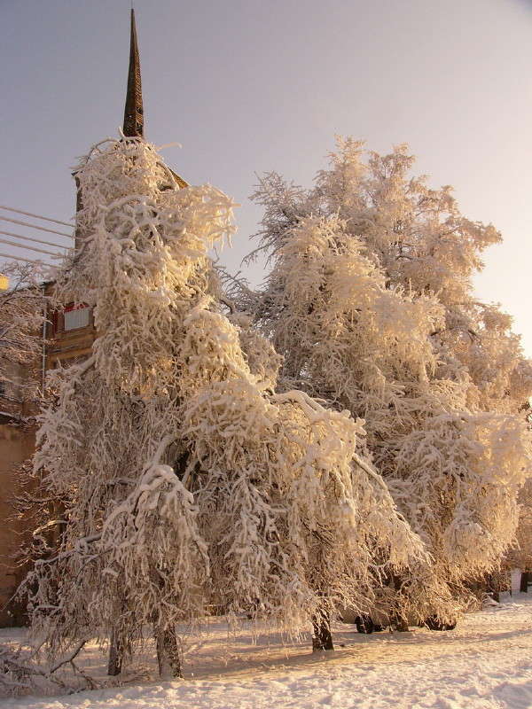 ��������� ����� ����� ��������� ������ �� PhotoGeek.ru #����� #������ ��� �������