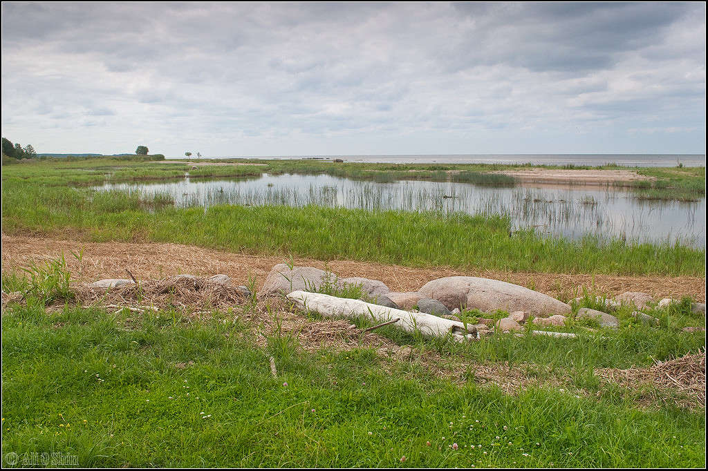 ���������� ����� II ����� ������� ������ �� PhotoGeek.ru #������ ��� ������� #���������