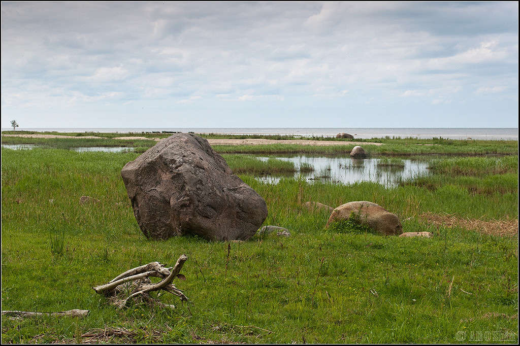 ���������� ����� VII ����� ������� ������ �� PhotoGeek.ru #������ ��� ������� #���������