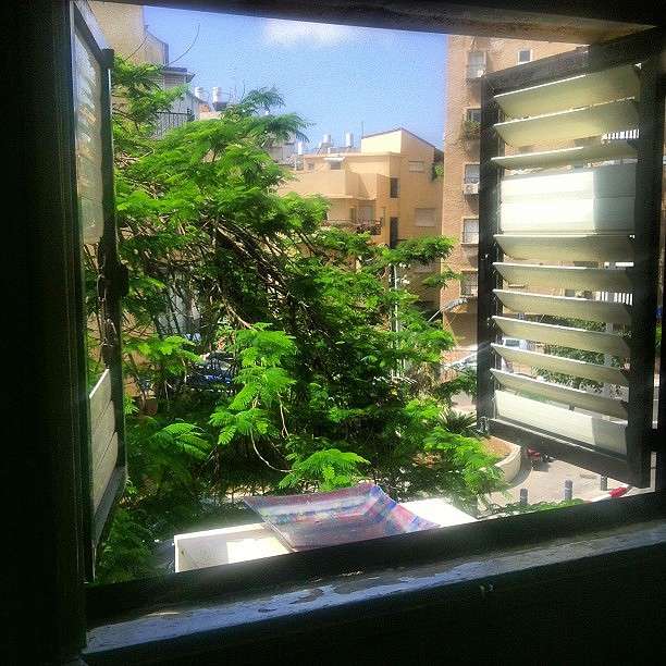 Window ����� Arik Shapira �� PhotoGeek.ru #�����