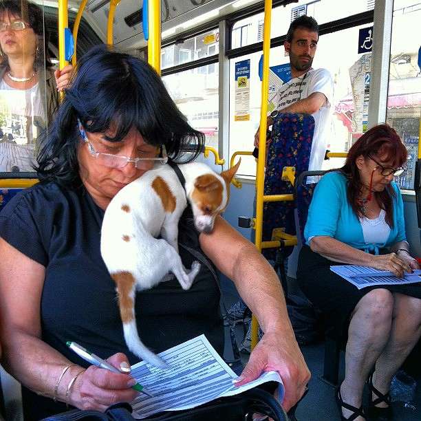 ������ ����������������� ����� Arik Shapira �� PhotoGeek.ru #�����