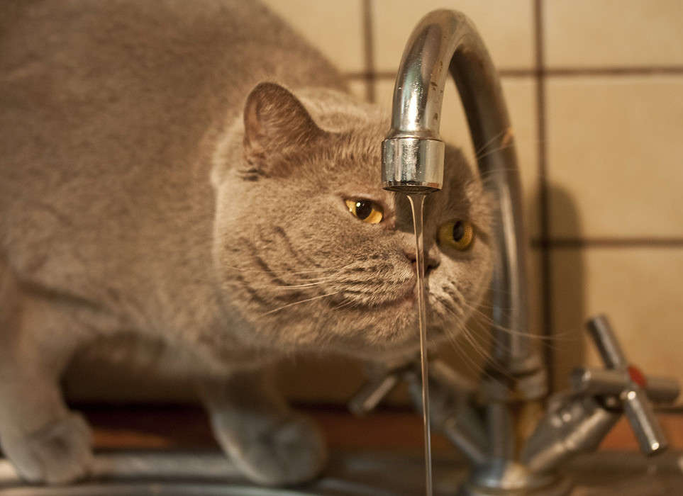 �����-�����!.... ����� �������  �� PhotoGeek.ru #�������� ���