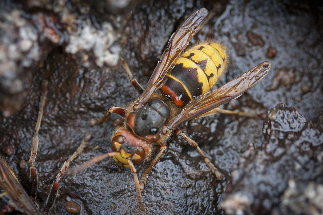 ������ ����. ����� �������  �� PhotoGeek.ru #����� #�������� ��� #���������