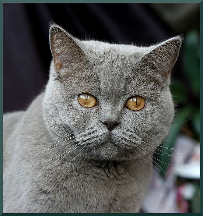 ��������� ������������ ��� ������ ���� ����� �������  �� PhotoGeek.ru #�������� ���