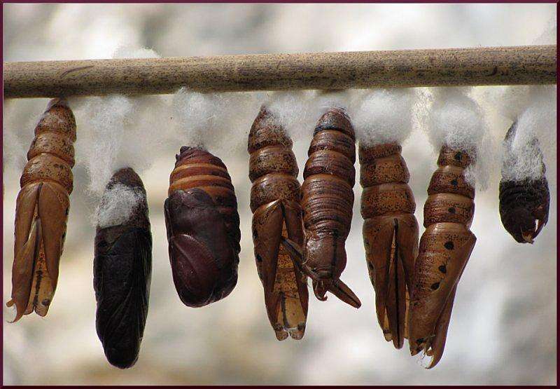 ������� � ������ ����� �������  �� PhotoGeek.ru #�������� ��� #������ ��� �������