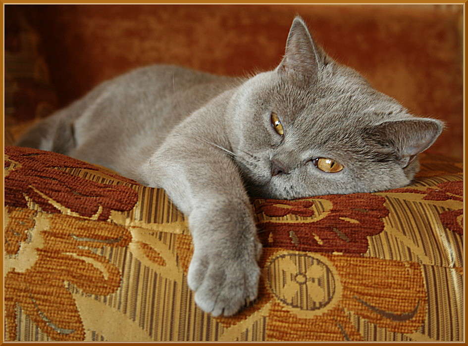 ��,���� ����? �� ����� ��������! ����� �������  �� PhotoGeek.ru #�������� ��� #�������� ���