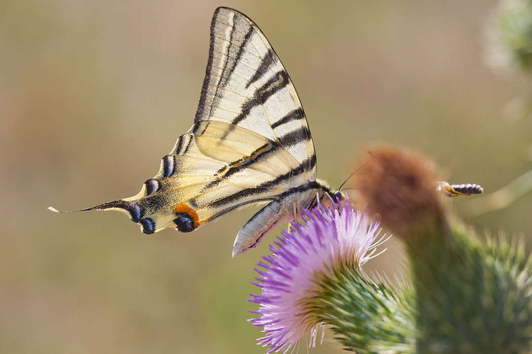 ������� ����� �������  �� PhotoGeek.ru #����� #������ ��� �������