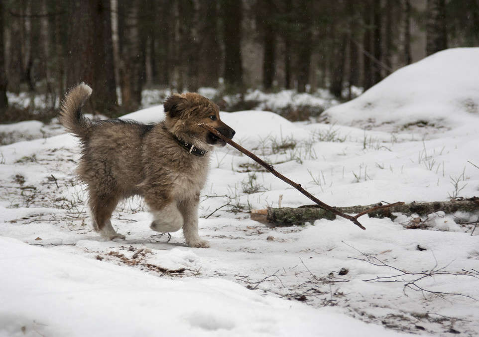 �� ��������. ����� �������  �� PhotoGeek.ru #�������� ��� #�������� ���
