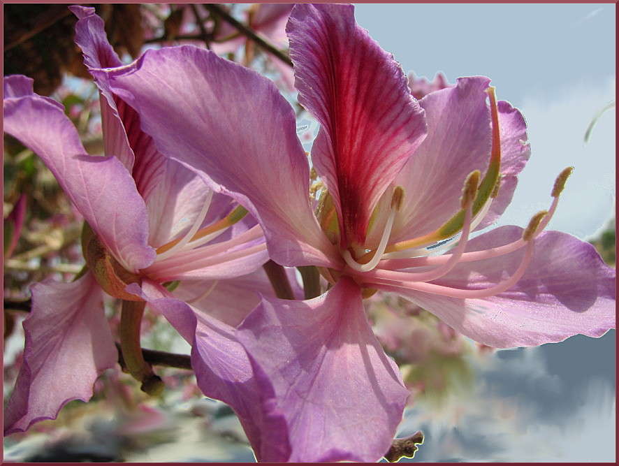 ... ����� �������  �� PhotoGeek.ru #������ ��� ������� #����� ��������������