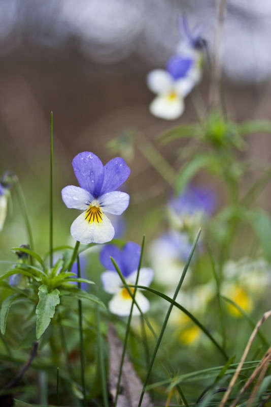 ... ����� �������  �� PhotoGeek.ru #������ ��� ������� #����� ��������������