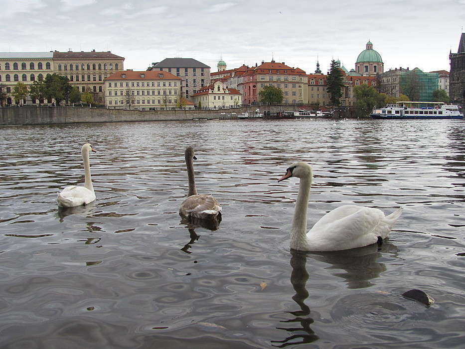 �����. ����� �������  �� PhotoGeek.ru #����� #������ ����