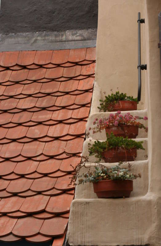 ������ ����� �������  �� PhotoGeek.ru #����� #������ ����