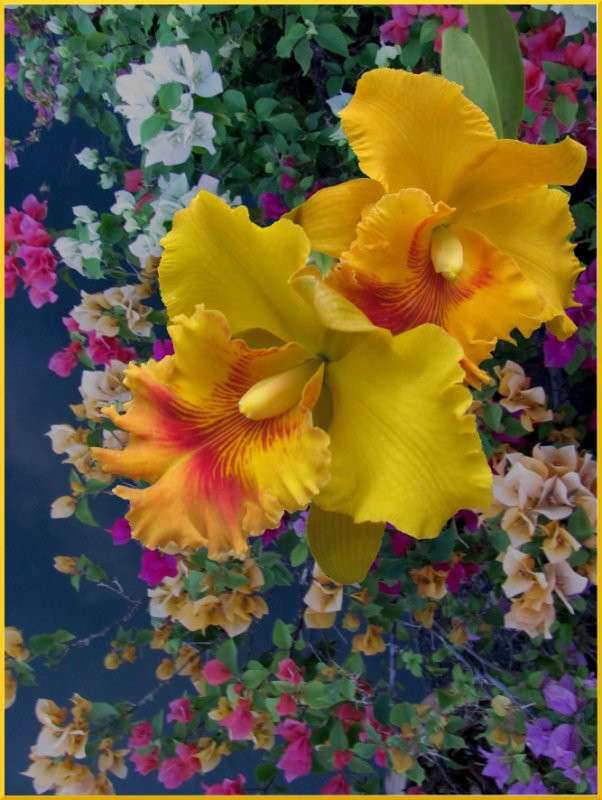 ��������� ����� ����� �������  �� PhotoGeek.ru #������ ��� ������� #����� ��������������