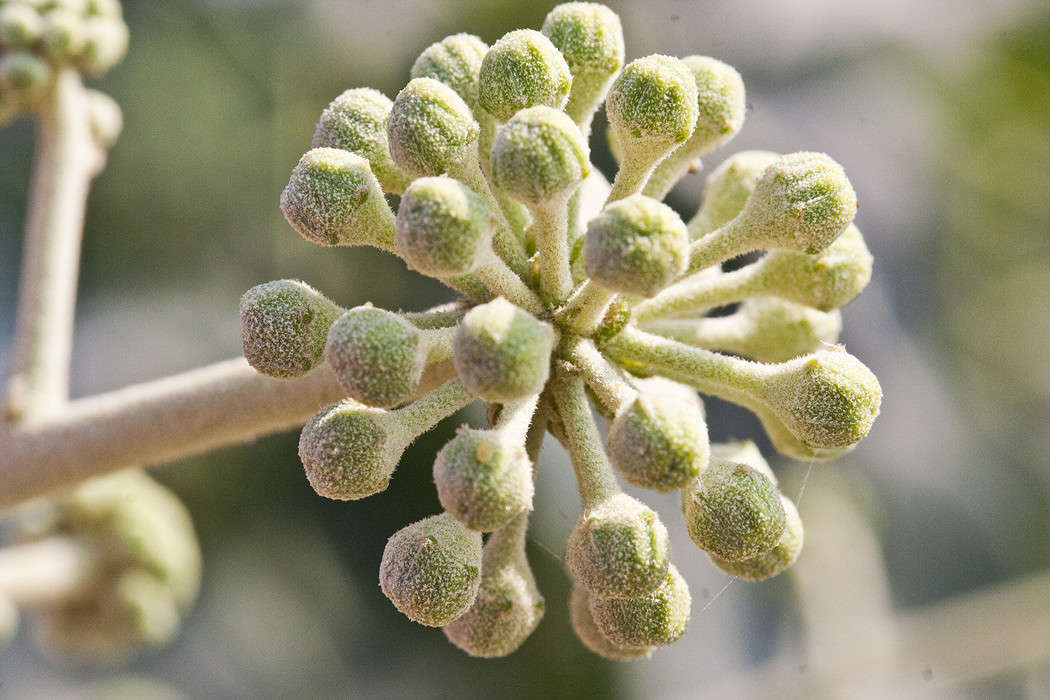 ... ����� �������  �� PhotoGeek.ru #����� #������ ��� ������� #����� ��������������