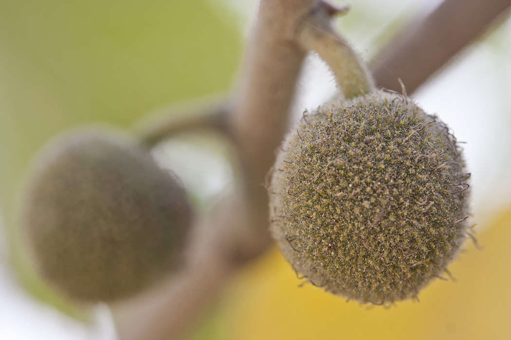 ����� ����� �������  �� PhotoGeek.ru #����� #������ ��� ������� #����� ��������������