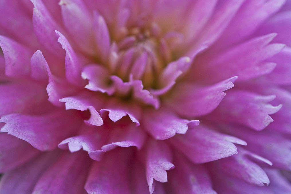 ... ����� �������  �� PhotoGeek.ru #������ ��� ������� #����� ��������������