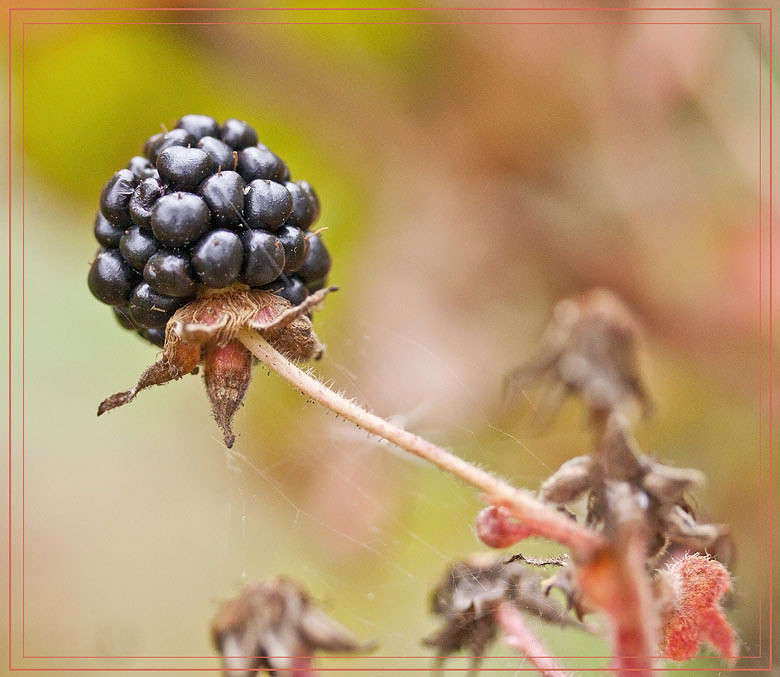 ������� ����� �������  �� PhotoGeek.ru #������ ��� ������� #����� ��������������