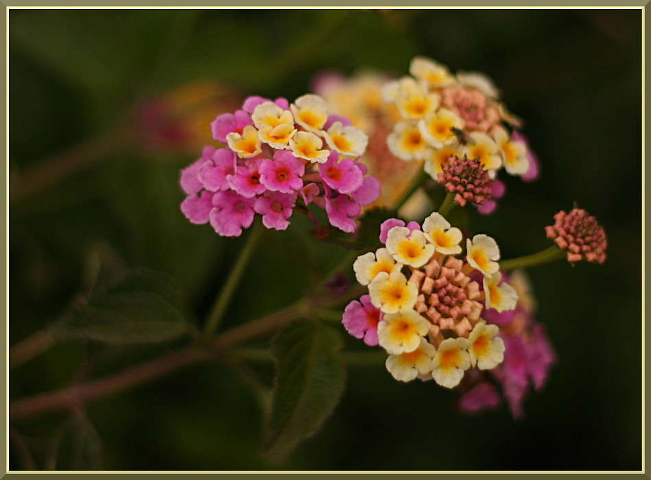 ������� ����� �������  �� PhotoGeek.ru #������ ��� ������� #����� ��������������