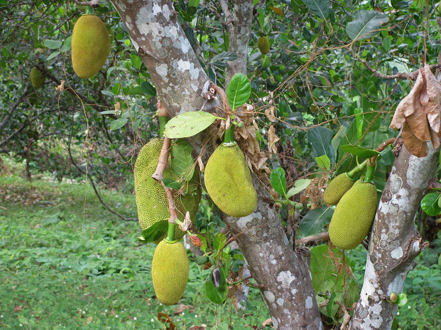 ������� ����� � ���� � ���� ���� ����� �������  �� PhotoGeek.ru #������ ��� ������� #����� ��������������