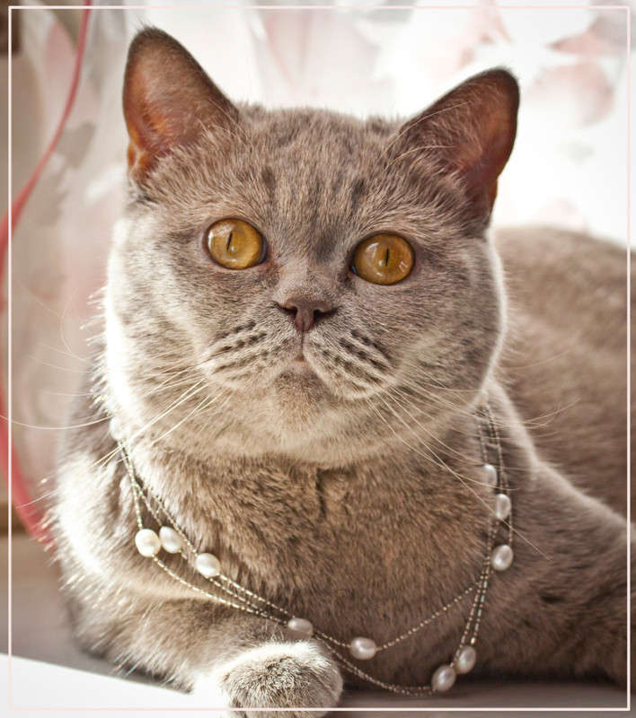 ����. ������� ���� ����� �������  �� PhotoGeek.ru #�������� ���