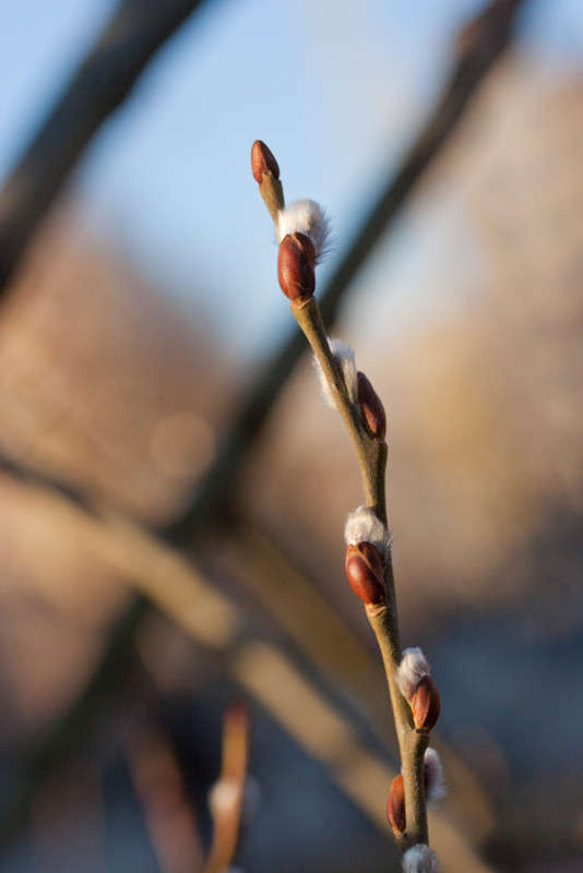 ����� ����� �������  �� PhotoGeek.ru #������ ��� ������� #����� ��������������