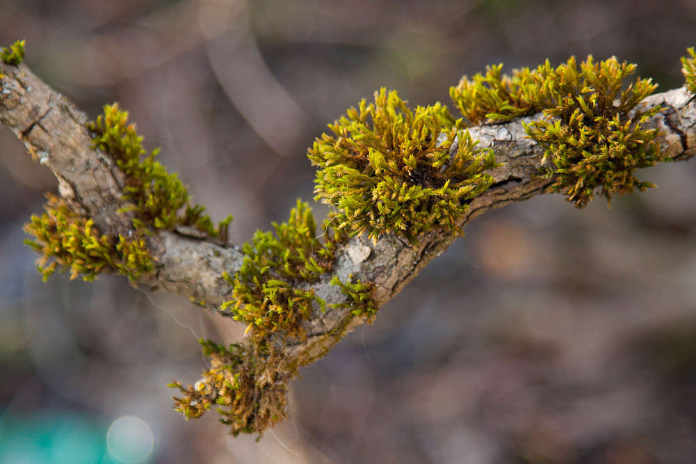 ��� �� ������ ����� �������  �� PhotoGeek.ru #������ ��� ������� #����� ��������������