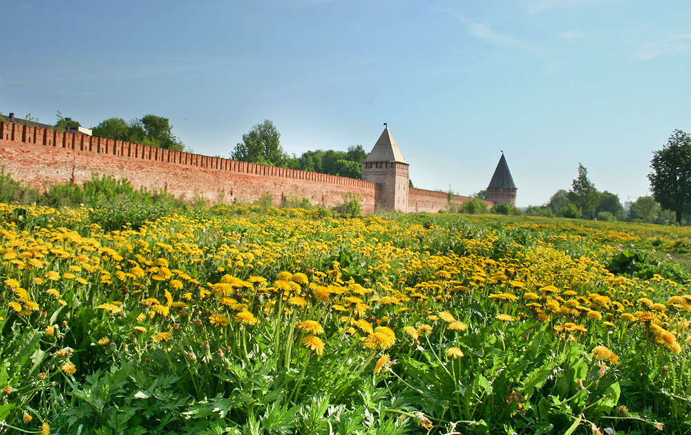 ���������� ����� �������  �� PhotoGeek.ru #����� #������ ��� �������