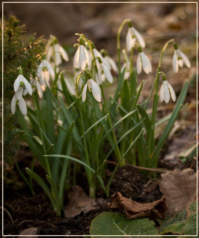 ����� ����� �������  �� PhotoGeek.ru #������ ��� ������� #����� ��������������