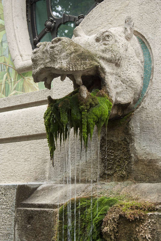 ��� ����� � ��������.�����. ����� �������  �� PhotoGeek.ru #�����