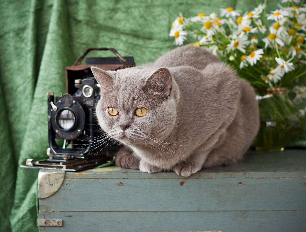 ������ ������ ����� �������  �� PhotoGeek.ru #�������� ��� #�������� ���