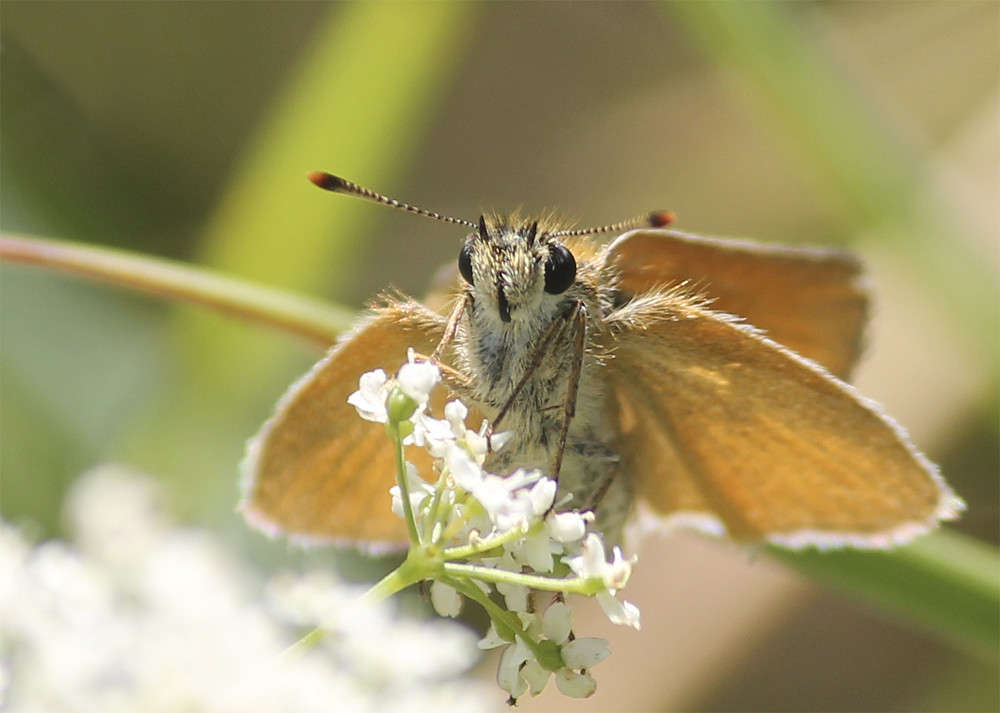 �������� ����� ���������  �� PhotoGeek.ru #�������� ���