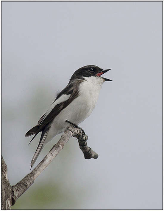 ��������� ��������� ����� ���������  �� PhotoGeek.ru #�������� ���