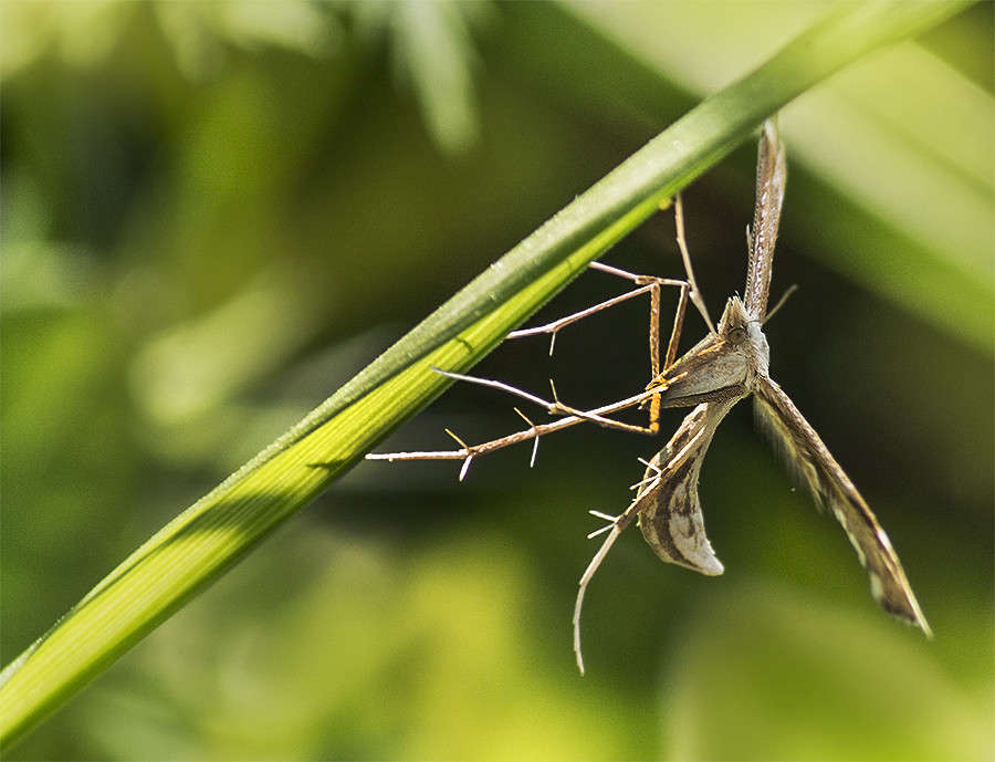 ���� �� �� � � ���� ������!? ����� ���������  �� PhotoGeek.ru #�������� ���