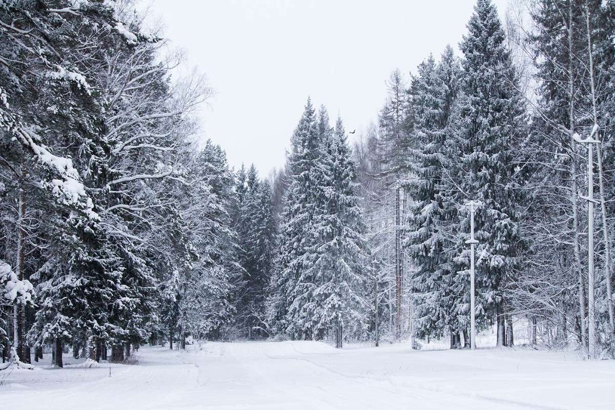 ������ ��� ����� ���������  �� PhotoGeek.ru #������ ��� �������